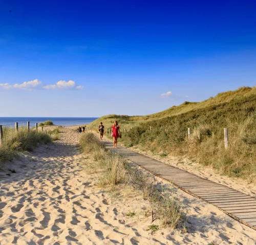 Haagse duinen